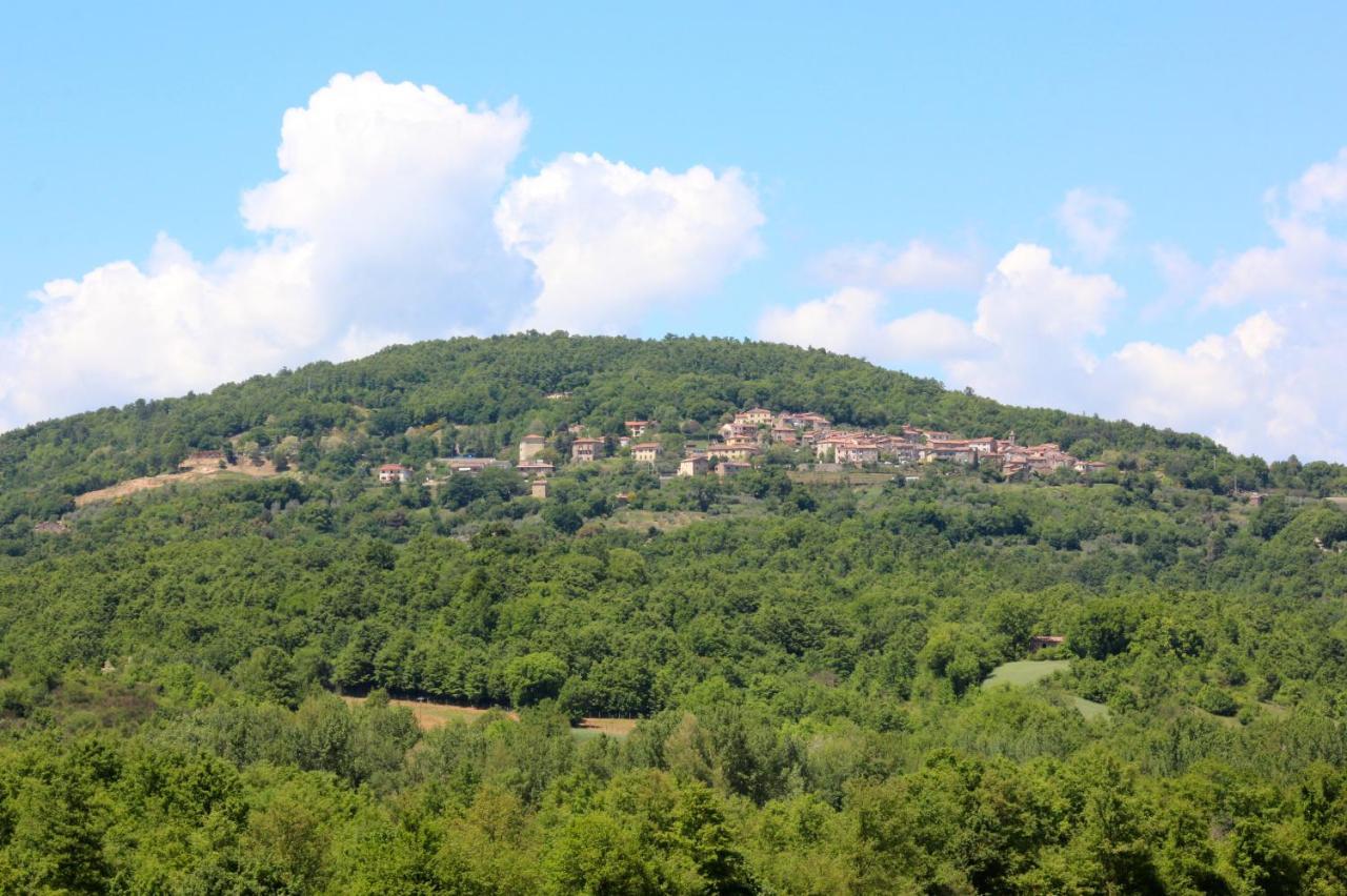 Agriturismo La Via Dell'Oliviera Ciciano Exteriér fotografie